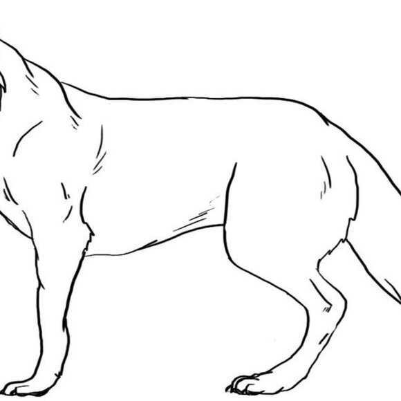 custom hand drawn framed sketches - Picture 3 of 10